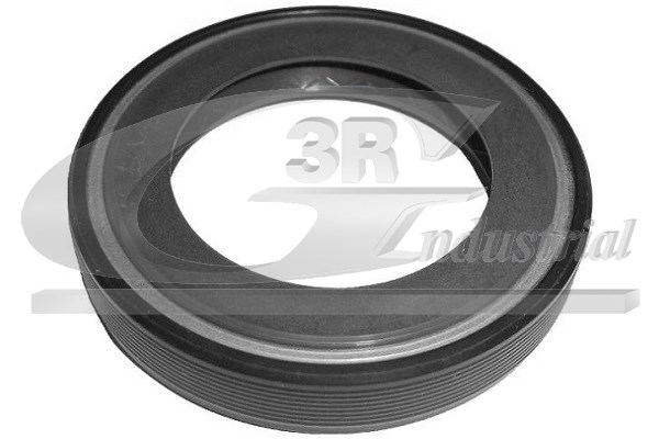 Shaft Seal, differential 3RG 80211