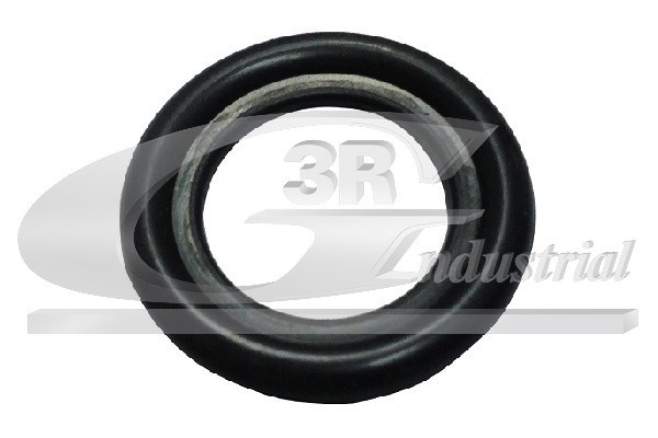 Seal Ring, oil drain plug 3RG 80066