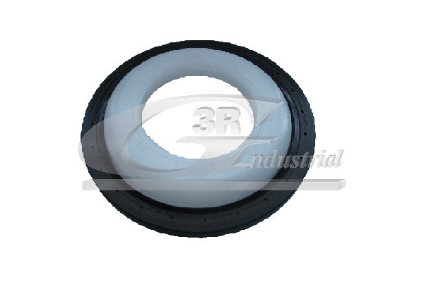 Shaft Seal, crankshaft 3RG 80290