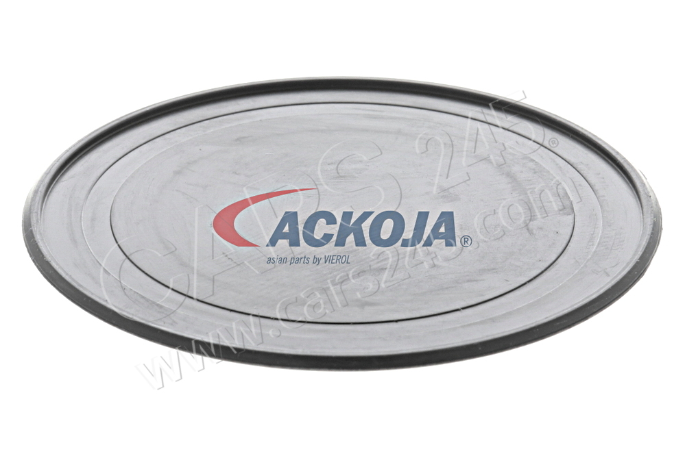 Alternator Freewheel Clutch ACKOJAP A38-23-0001 2