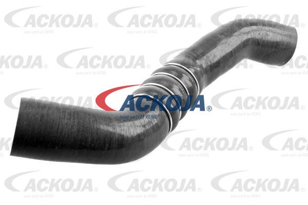Charge Air Hose ACKOJAP A38-0299