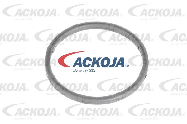 Thermostat Housing ACKOJAP A53-99-0012 3