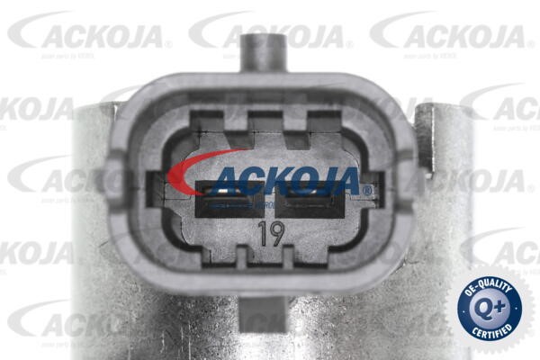 High Pressure Pump ACKOJAP A52-25-0006 2