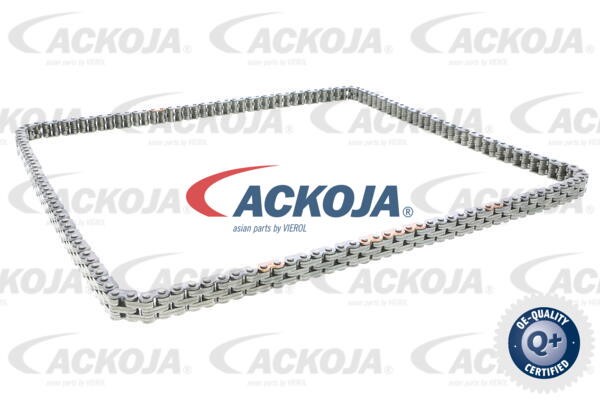 Timing Chain Kit ACKOJAP A52-10001-XXL 9