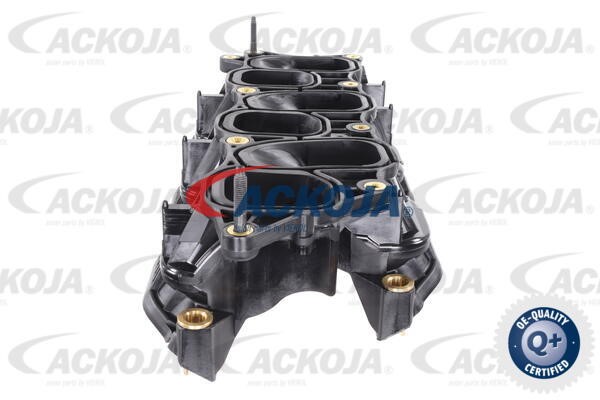 Intake Manifold Module ACKOJAP A52-0165 3