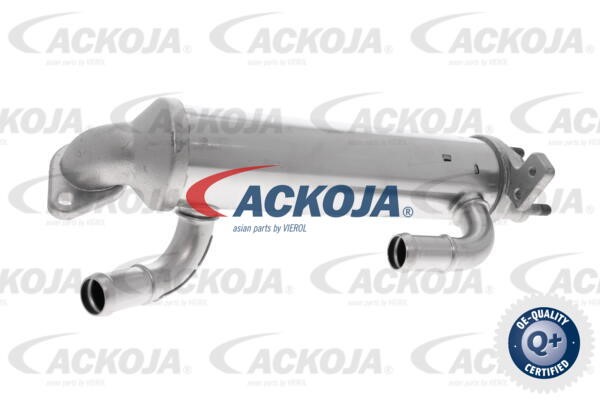 Cooler, exhaust gas recirculation ACKOJAP A52-63-0036