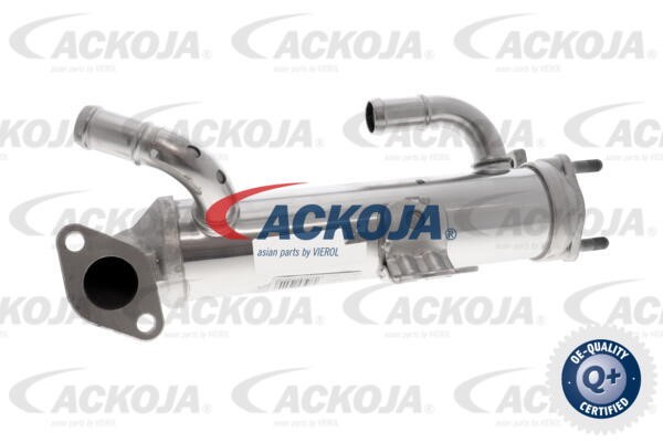 Cooler, exhaust gas recirculation ACKOJAP A52-63-0036 2