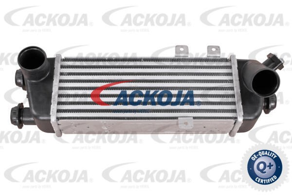 Charge Air Cooler ACKOJAP A53-60-0006