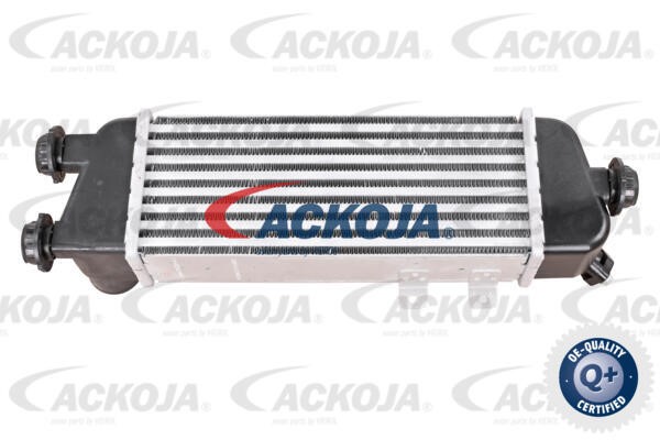 Charge Air Cooler ACKOJAP A53-60-0006 2
