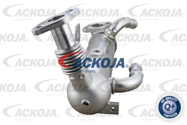 Cooler, exhaust gas recirculation ACKOJAP A52-63-0034 2