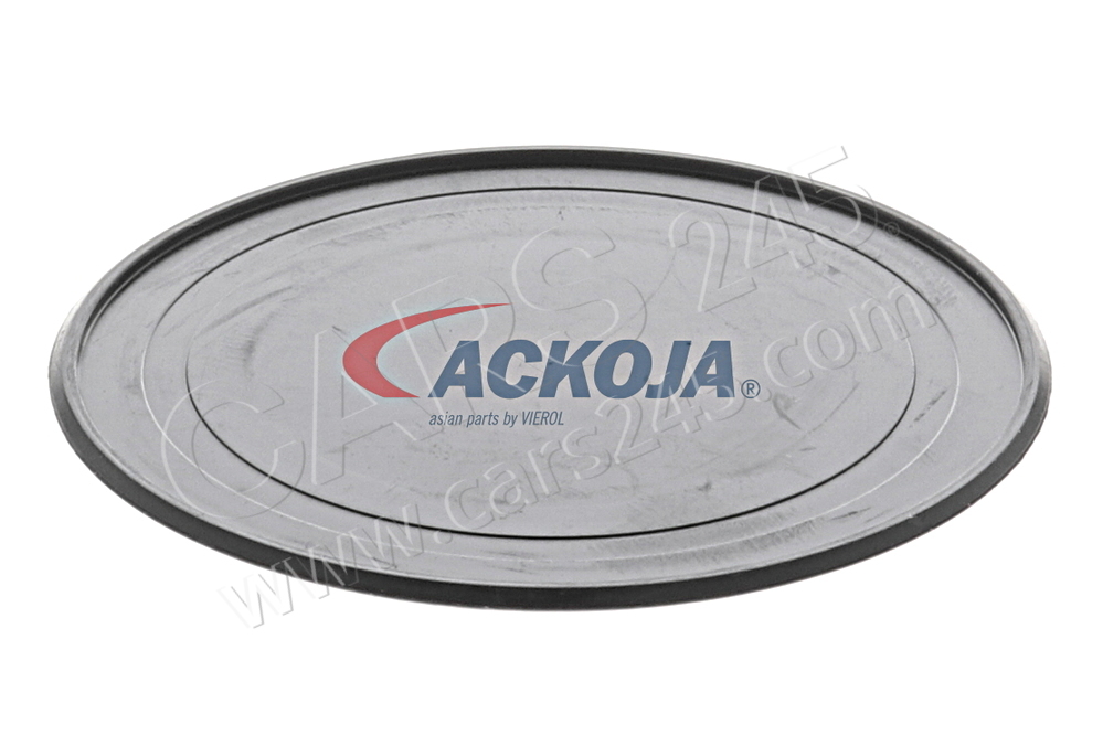 Alternator Freewheel Clutch ACKOJAP A70-23-0002 2