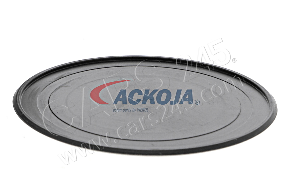 Alternator Freewheel Clutch ACKOJAP A52-23-0002 2