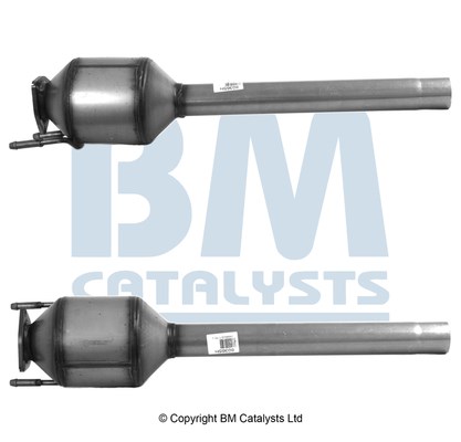 Catalytic Converter BM CATALYSTS BM80365H