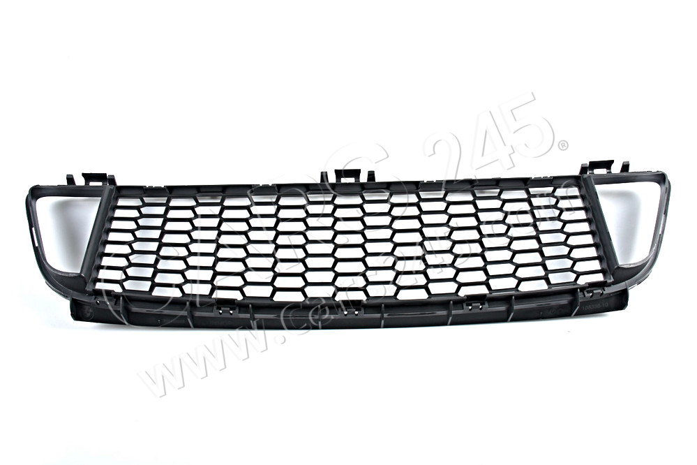 Grille, bumper, middle front BMW 51118048969 2