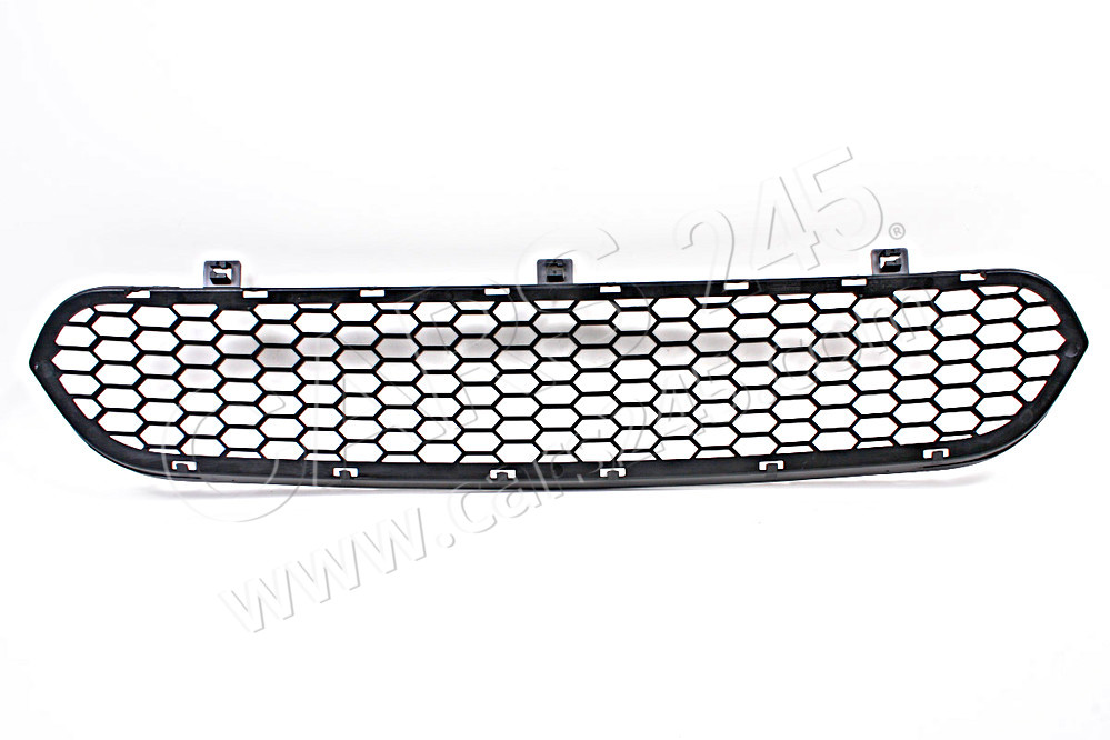 Grille, middle bottom BMW 51117205560