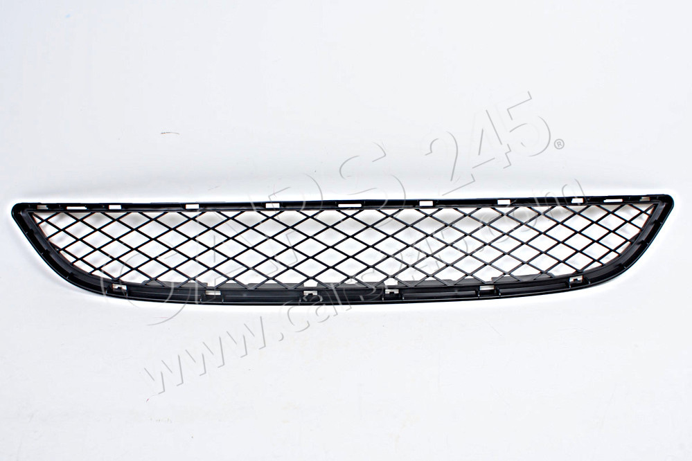 Grille, middle bottom BMW 51117176282