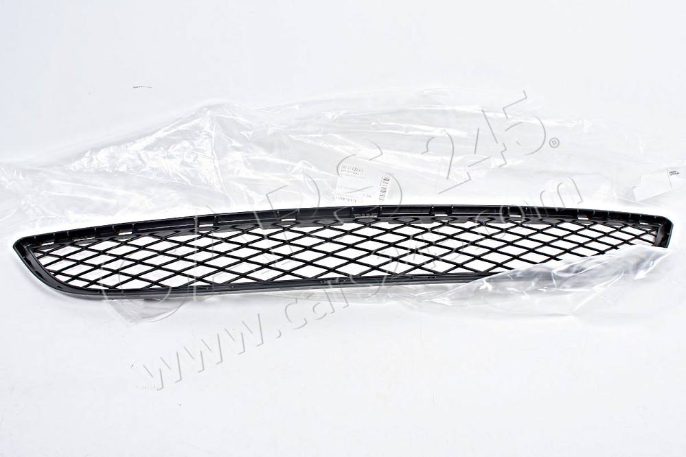 Grille, middle bottom BMW 51117176282 3