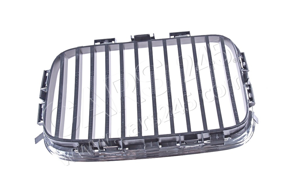 Grille right BMW 51138122238 2