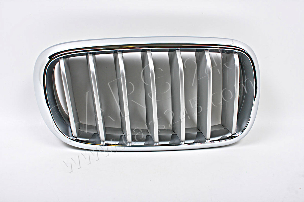Grille, front, right BMW 51117303108