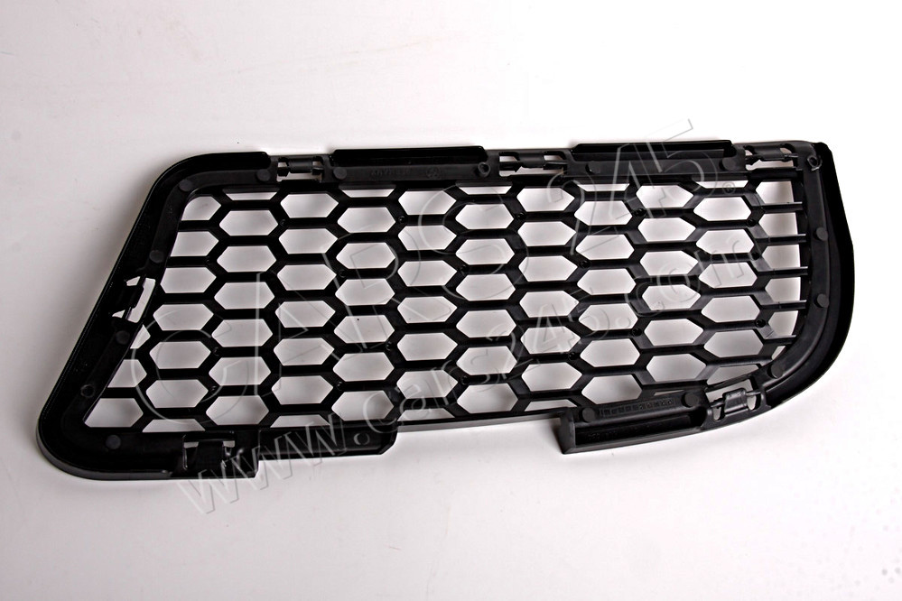 Grille, air inlet, left BMW 51118047393 2