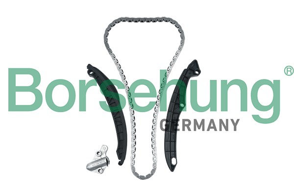 Timing Chain Kit Borsehung B17991