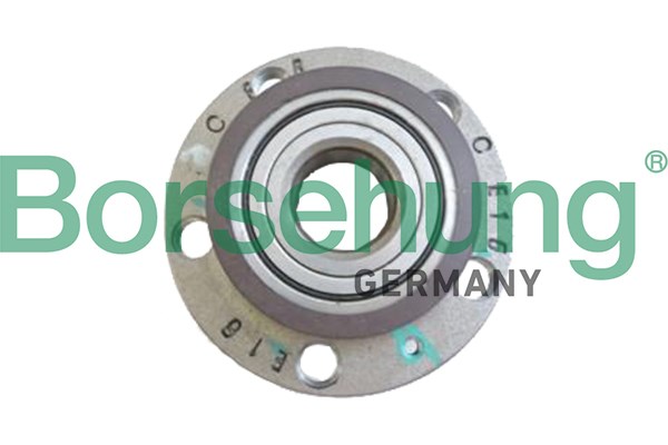 Wheel Bearing Kit Borsehung B15624