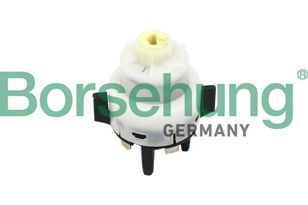 Ignition Switch Borsehung B17961