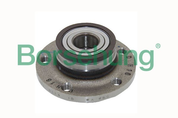 Wheel Bearing Kit Borsehung B15621