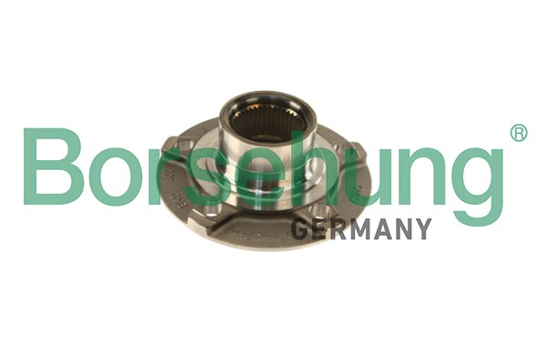 Wheel Bearing Kit Borsehung B18957