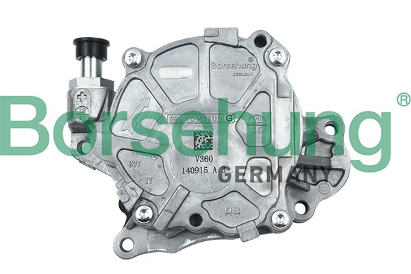 Vacuum Pump, braking system Borsehung B18799