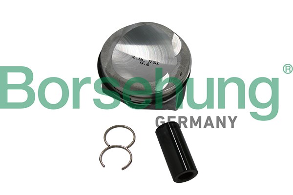 Piston Ring Kit Borsehung B19152