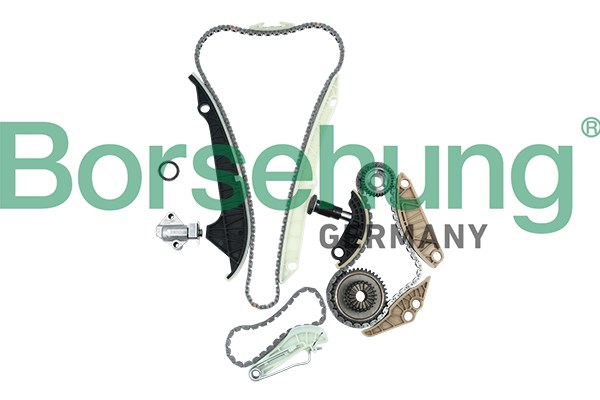 Timing Chain Kit Borsehung B19209