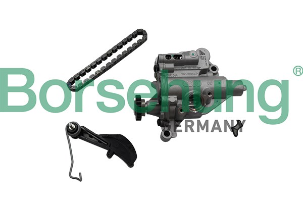 Repair Kit, oil pump Borsehung B19177
