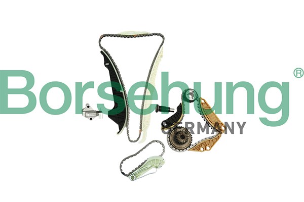 Timing Chain Kit Borsehung B19254