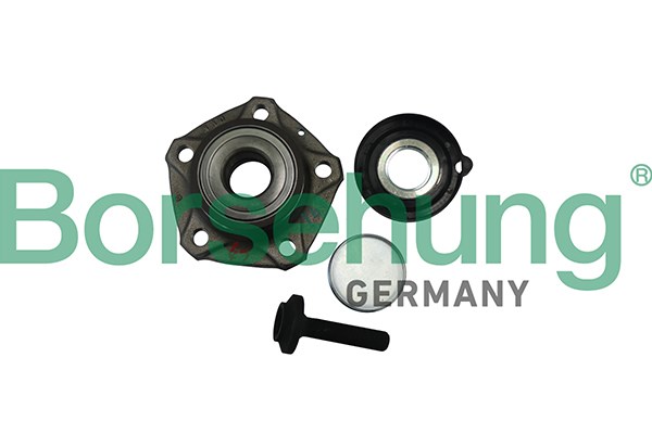 Wheel Bearing Kit Borsehung B11288