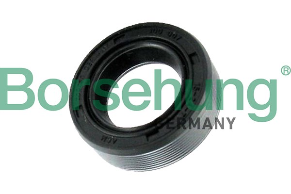 Shaft Seal, differential Borsehung B17837