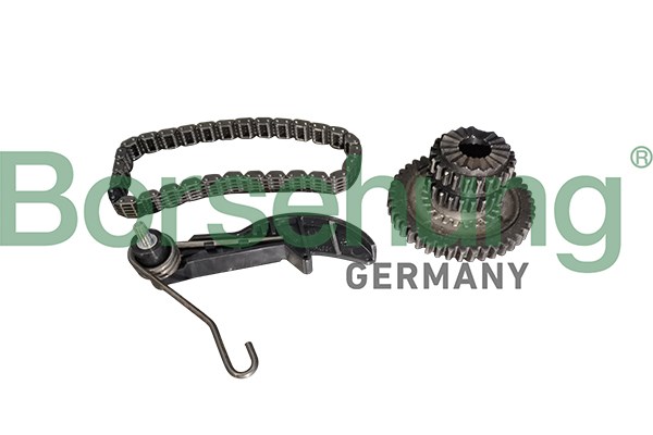 Timing Chain Kit Borsehung B10218