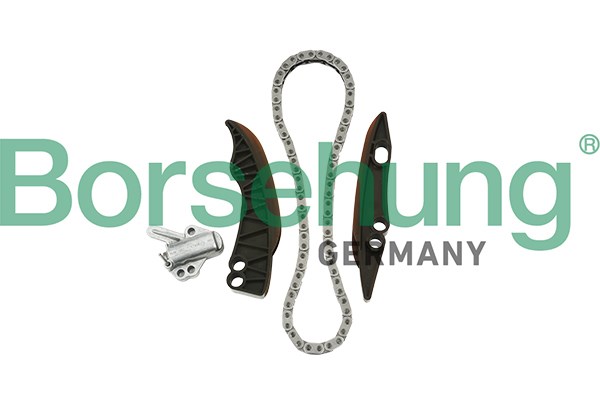 Timing Chain Kit Borsehung B18853