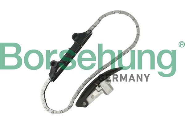 Timing Chain Kit Borsehung B10209