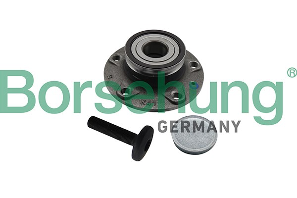 Wheel Bearing Kit Borsehung B19310