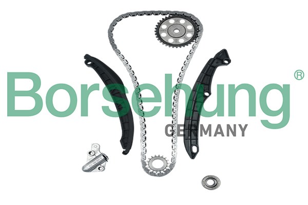 Timing Chain Kit Borsehung B18475