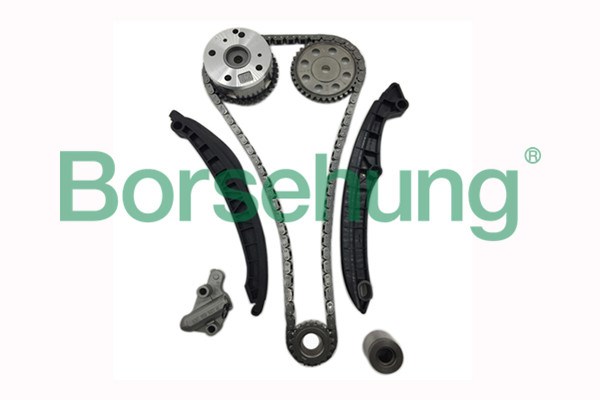 Timing Chain Kit Borsehung B16306