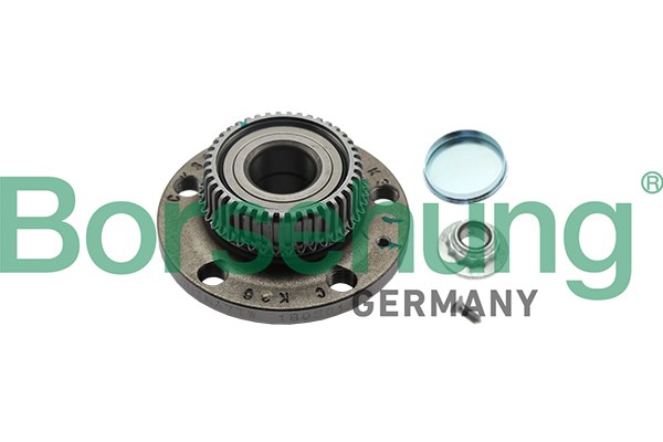 Wheel Bearing Kit Borsehung B19231