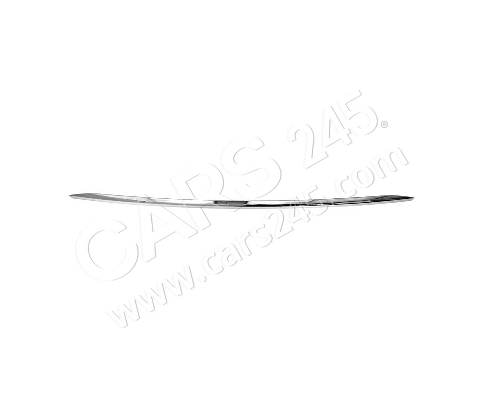 Front Bumper Grille Strip Cars245 PDS04357MA