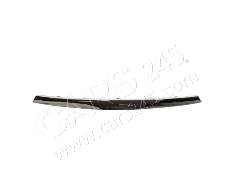 Moulding For Grille Cars245 PRN07055MA