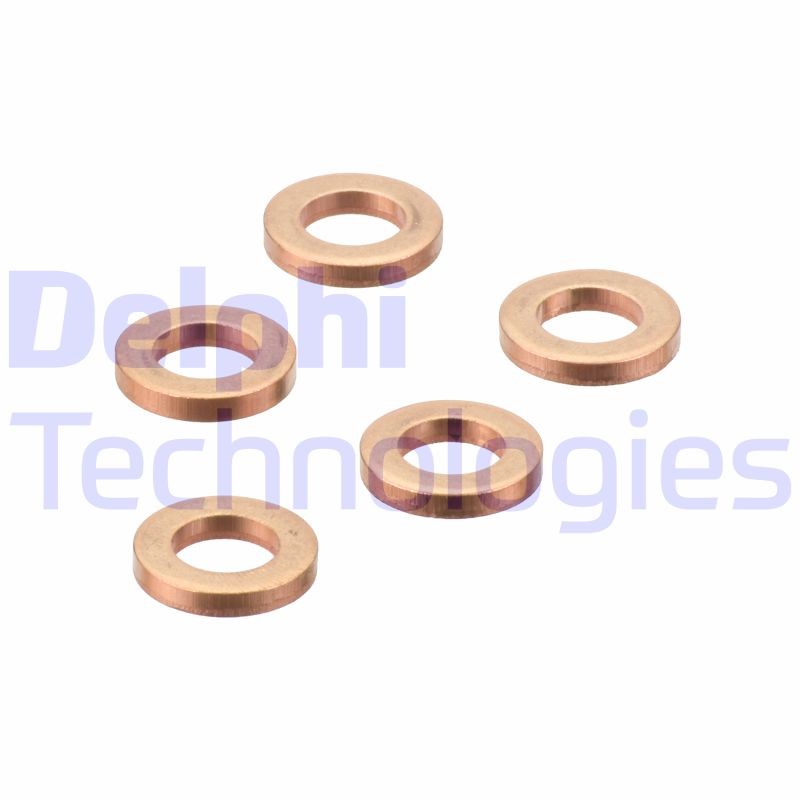 Seal Ring, injector DELPHI 9001-850K