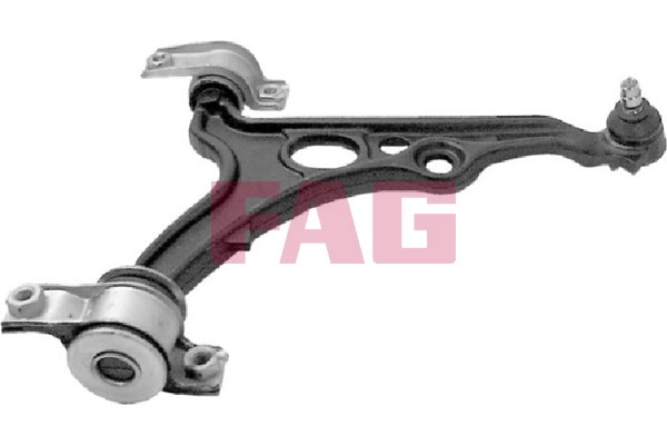 Control Arm/Trailing Arm, wheel suspension FAG 821036110