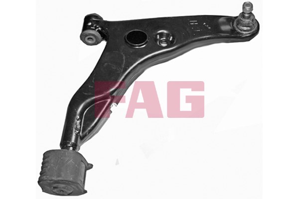 Control Arm/Trailing Arm, wheel suspension FAG 821065010