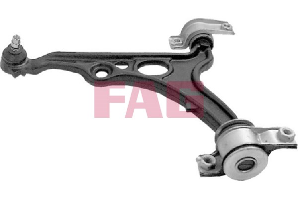 Control Arm/Trailing Arm, wheel suspension FAG 821036010
