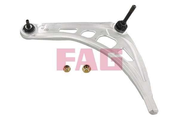 Control Arm/Trailing Arm, wheel suspension FAG 821089610
